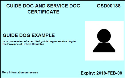 How can a dog get certification to be a service dog?