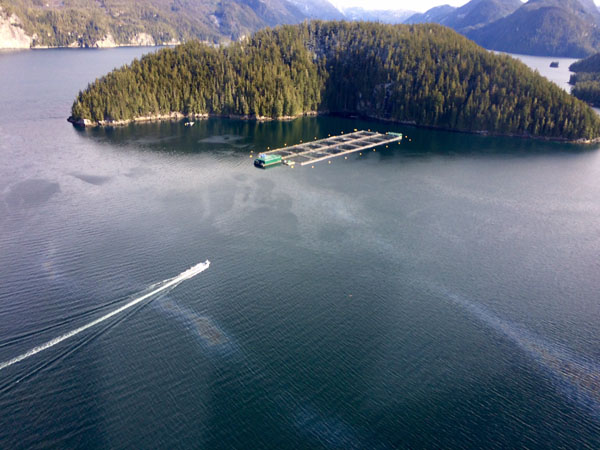 Diesel spill near Echo Bay taken on an overflight of the area March 6, 2017 at 1100hrs