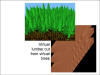 Computer model image of virtual lumber cut from virtual trees.