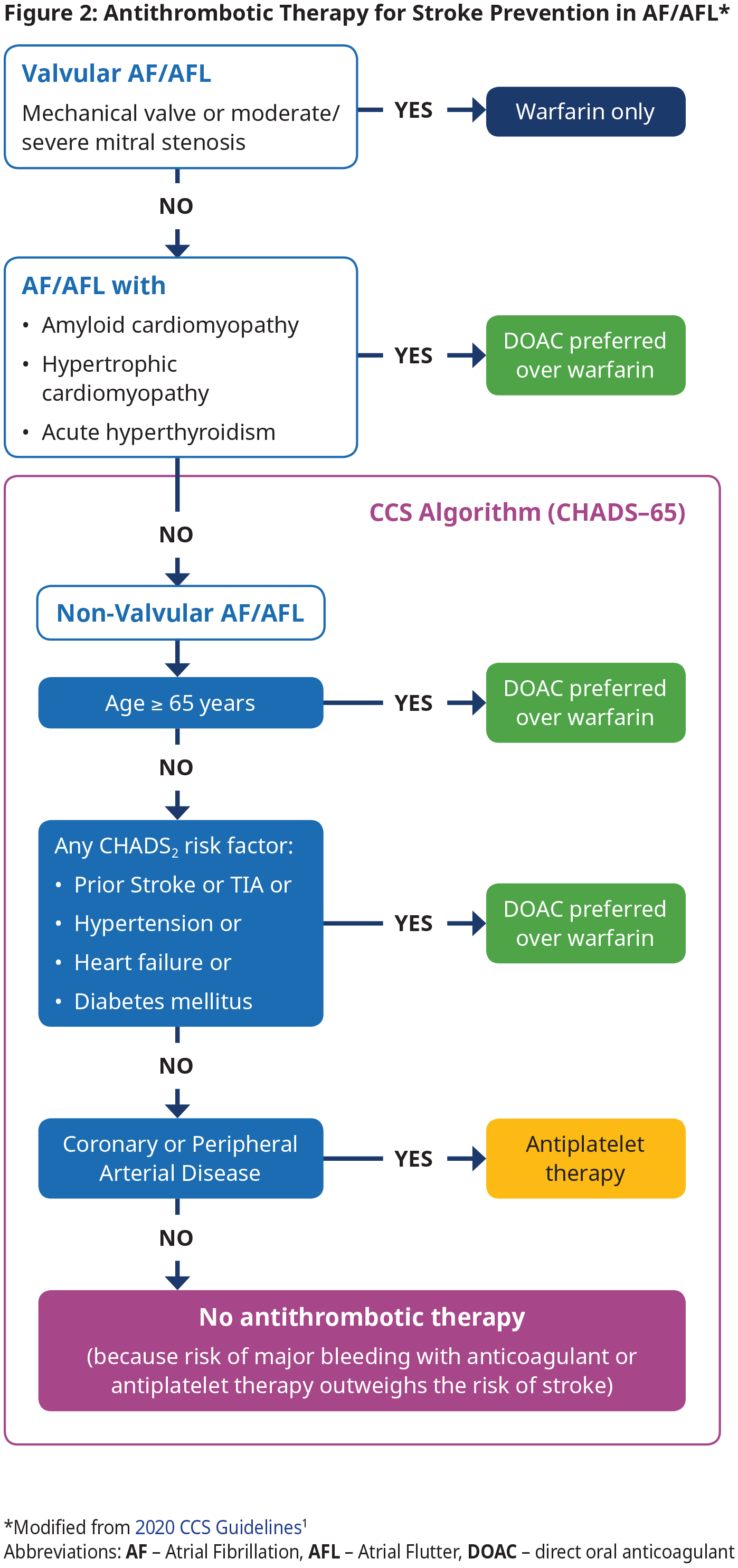 Atrial Fibrillation - Diagnosis and Management - Province of