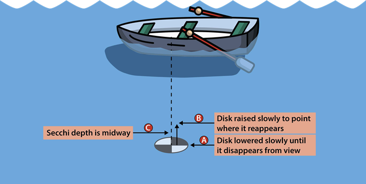 A graphical representation of conducting a secchi depth reading from a boat