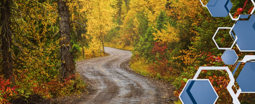 photo of a dirt road with trees showing fall foliage, representing rural BC