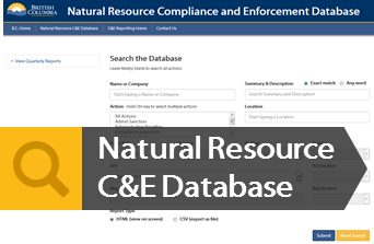 Launch the NR CE Database