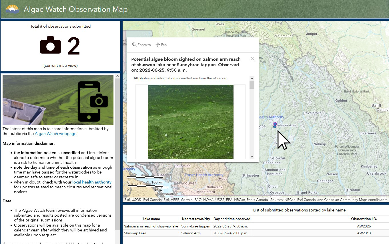 Algae Watch Observations interactive map screenshot