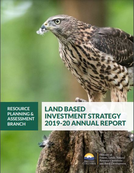 Land Based Investment Strategy 2019-2020 Annual Report, image of Northern Goshawk