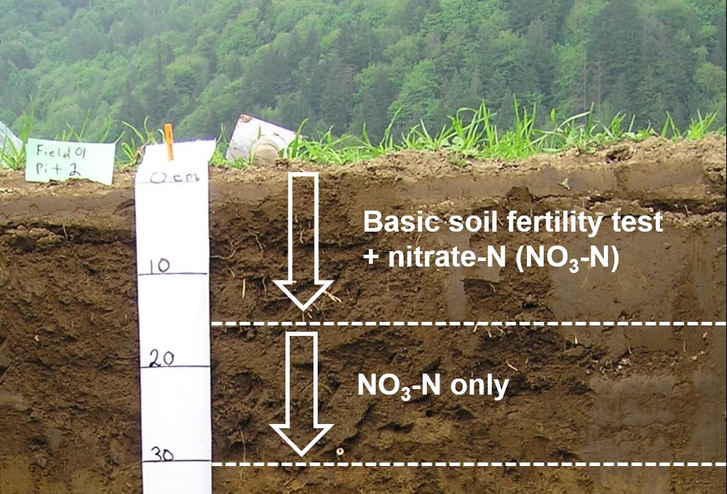 Sample handling, laboratory submission, and analysis Province of