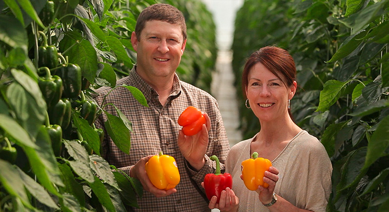 Two people in field holding peppers