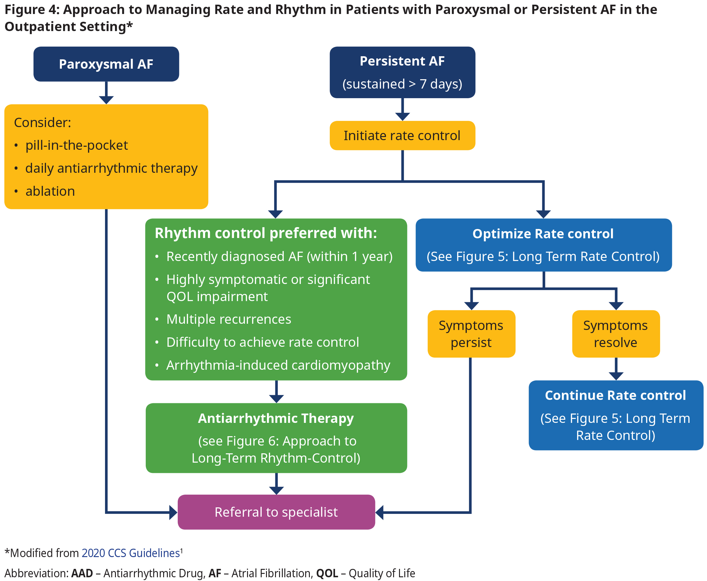 Atrial Fibrillation - Diagnosis and Management - Province of