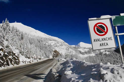 Do Not Stop Avalanche Area Sign