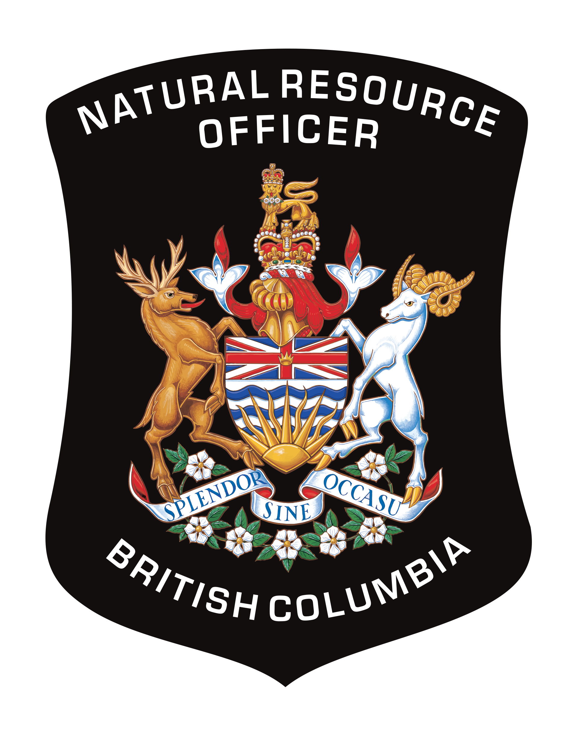 Natutral Resource Officers insignia