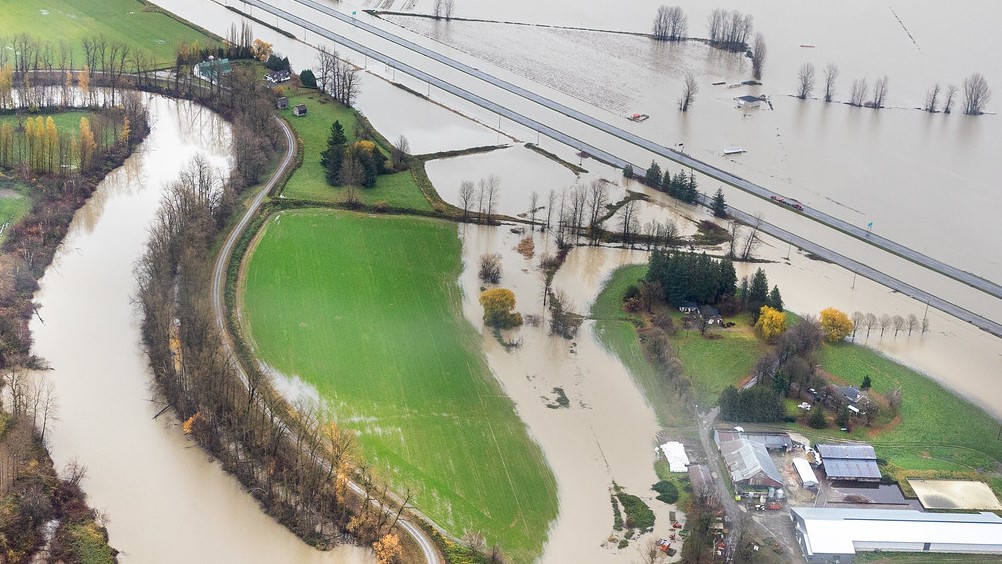 flooded fraser valley