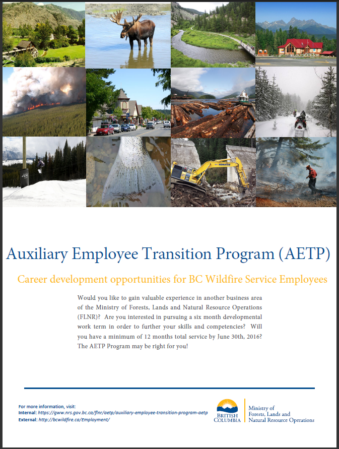 Thumbnail of AETP poster