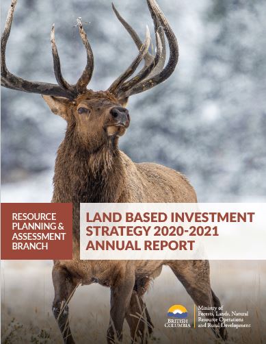Land Based Investment Strategy 2020-2021 Annual Report, image of an Elk