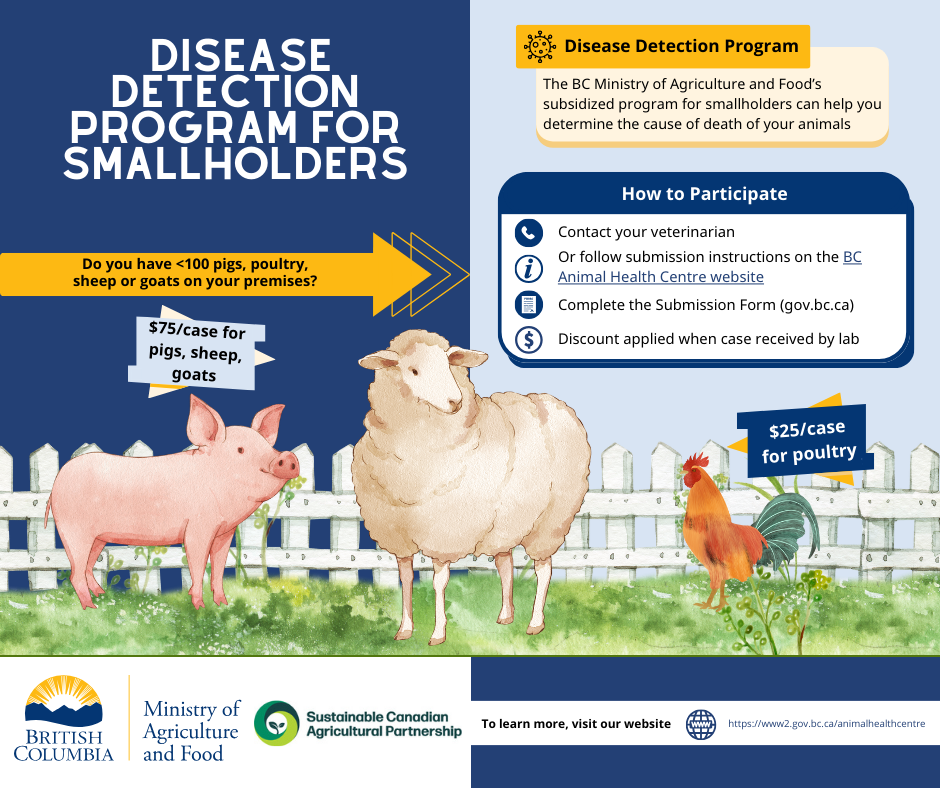 Smallholder Program Details for Pigs, Poultry, Goats and Sheep