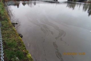 Oil sheen in the Gorge Waterway