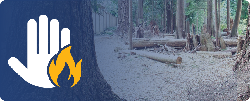 Hand gesturing to stop wildfires with fallen trees and stumps in background.