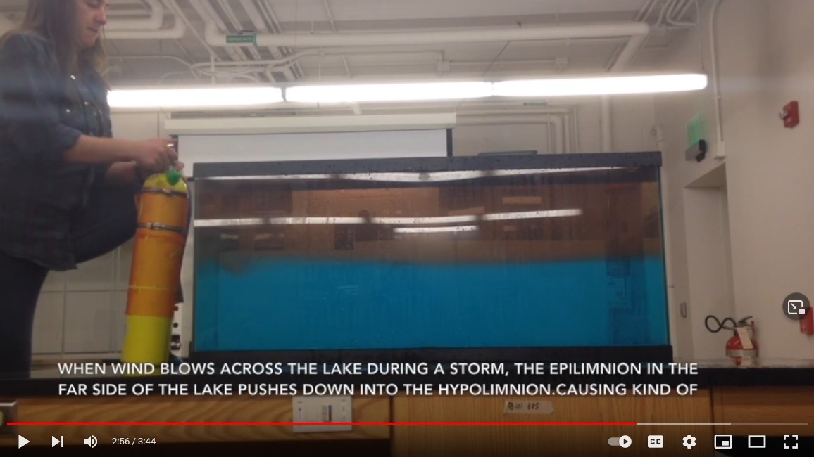 Link to YouTube video: NALMS Student Video Series #2: Lake Mixing & Stratification