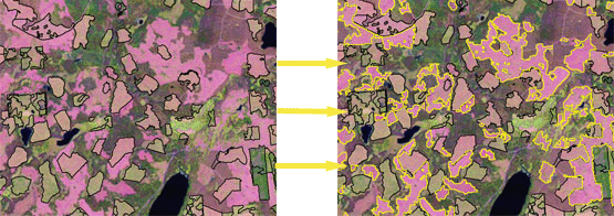 Comparison of two forest mapping images to demonstrate harvest change.