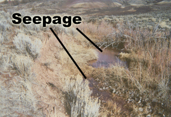 Seepage on vegetation