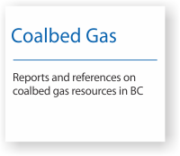 Reports and references on coalbed gas in BC