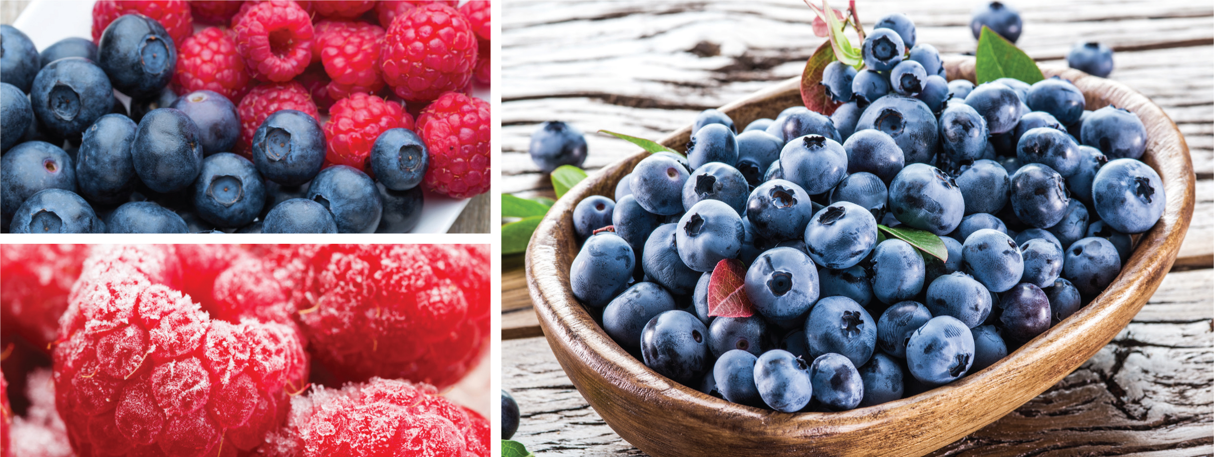 A&P Fruit Growers Province of British Columbia