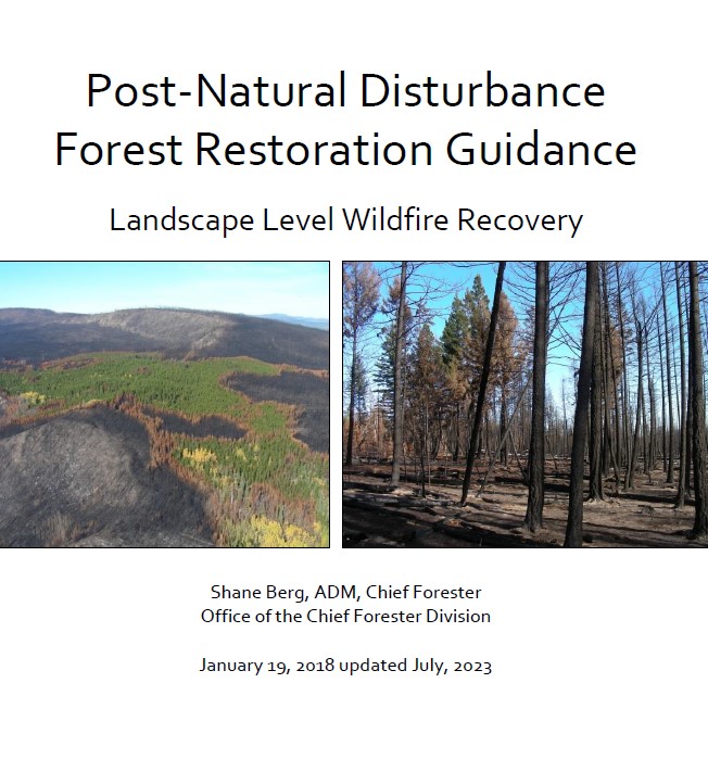 cover of 2023 post-natural disturbance forest restoration guidance