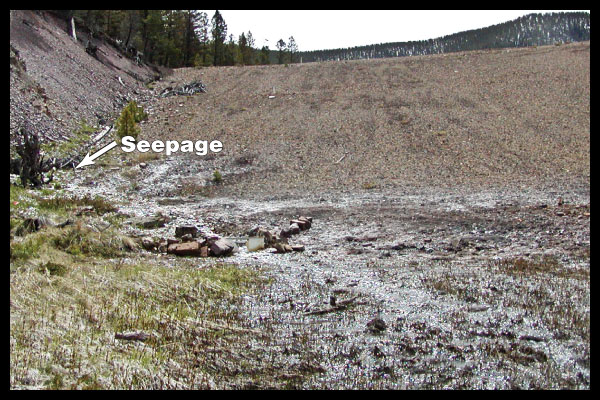 Water seeping through abutment onto downstream land