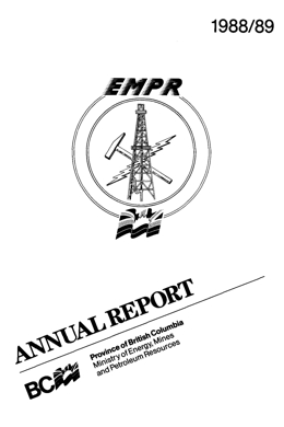 1988-1989 Annual Report