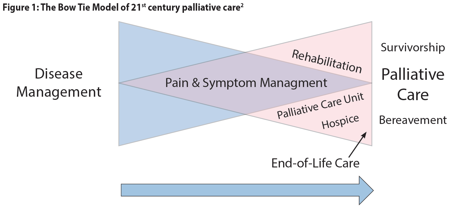 Figure 1: The Bow Tie Model of 21st century palliative care