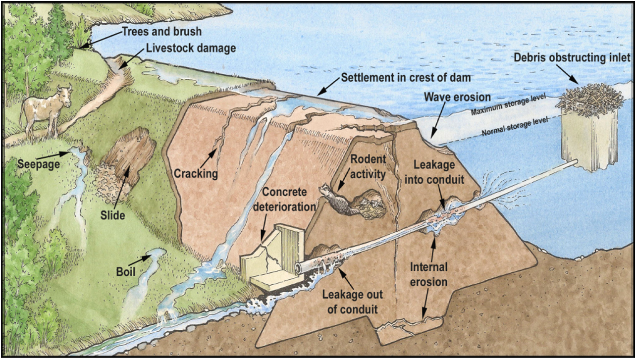 Diagram of many dam issues