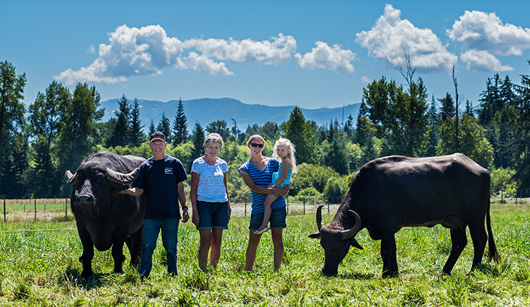Family standing in a farmer's field with 2 cows, and mountains in the distance
