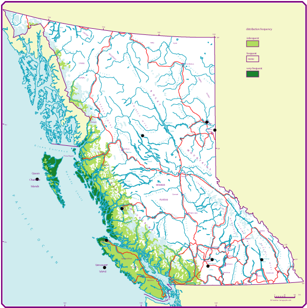 B.C. distribution of Sitka spruce (Ss)