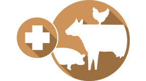 Manage livestock health