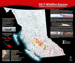 2017 Wildfire Poster