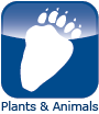 Environmental Reporting BC's plants and animals indicators logo