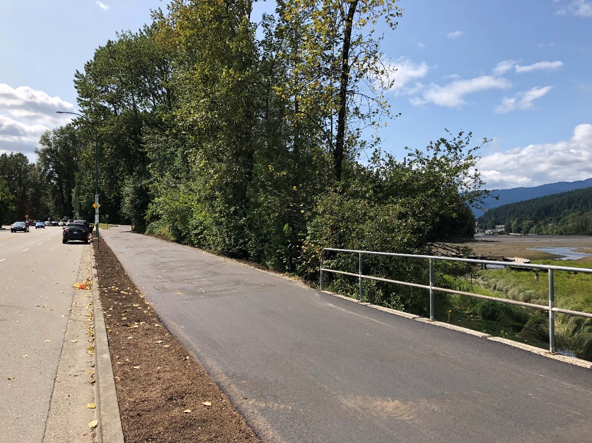 Image of Shoreline Trail improvement project