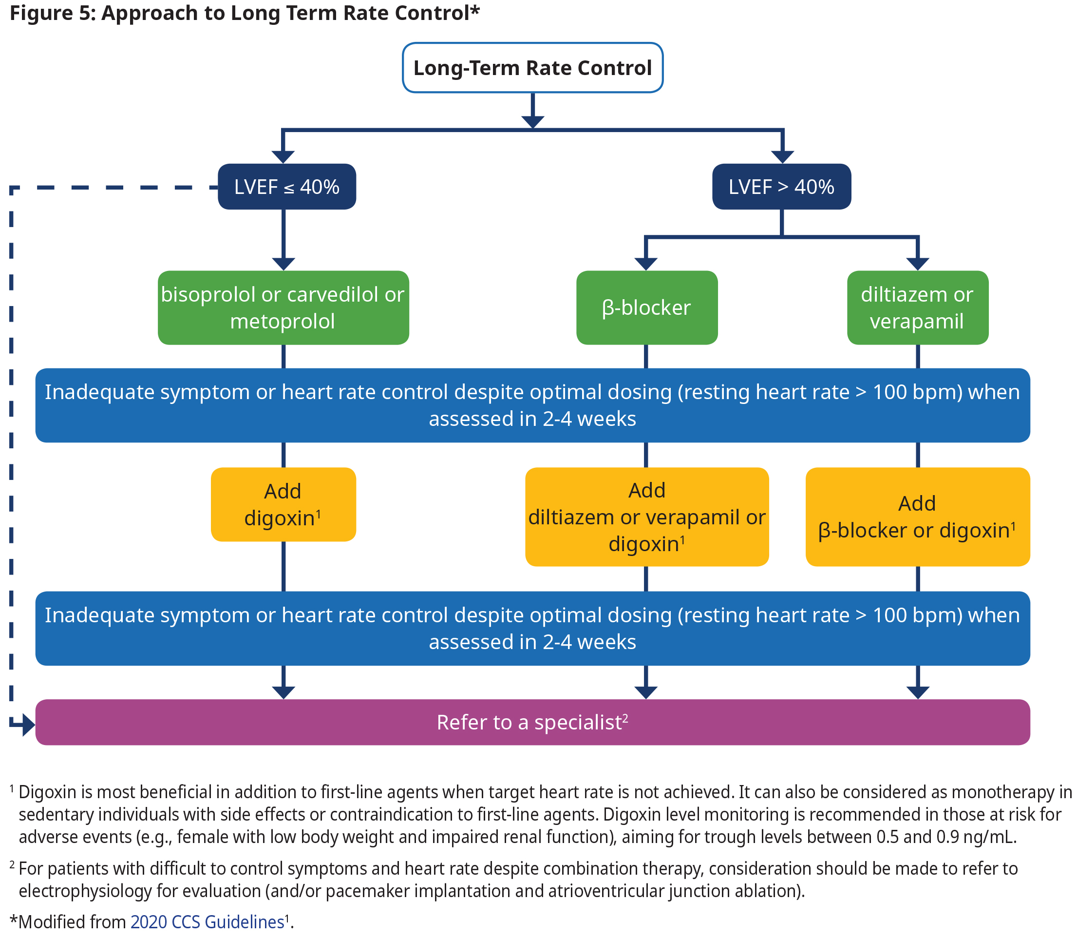 Understanding AFib: How to measure your own heart rate and rhythm - Scope