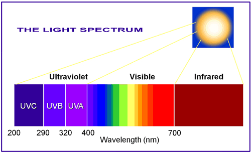 Ultraviolet waves store