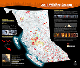 2018 Wildfire Poster
