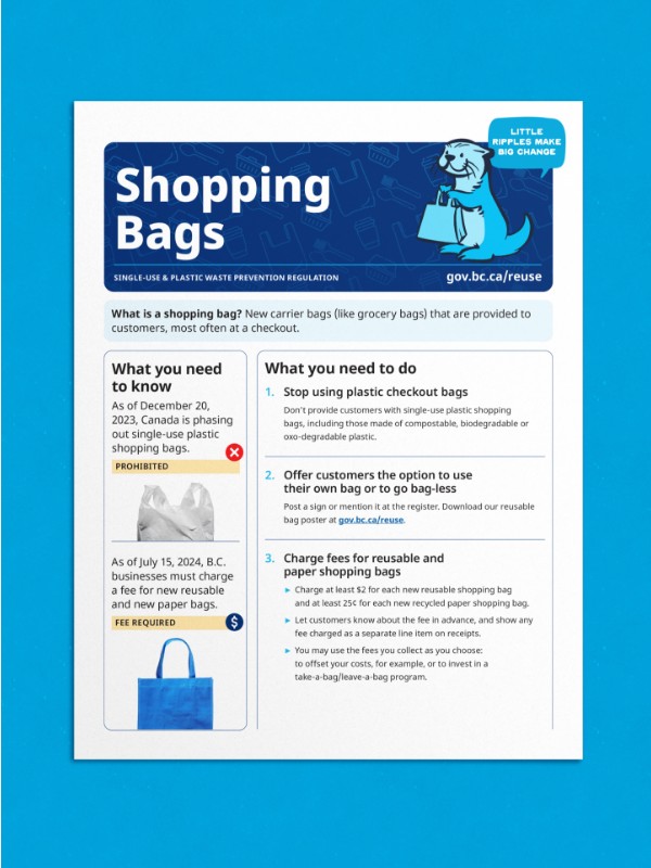 shopping bag factsheet thumbnail 
