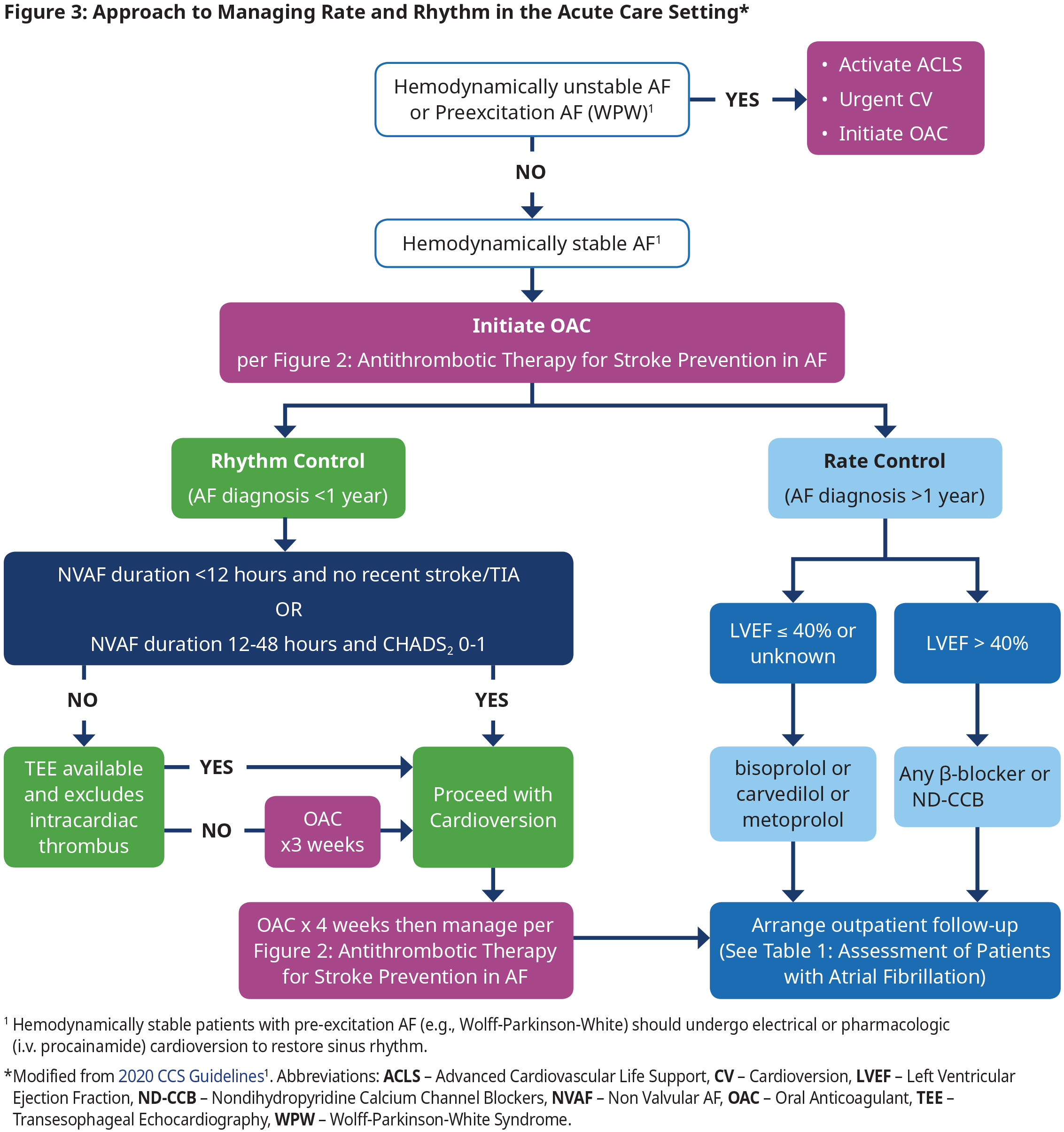 Understanding the EKG Signal - Atrial Fibrillation: Resources for  PatientsAtrial Fibrillation: Resources for Patients