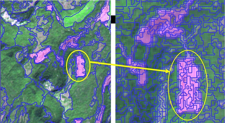Images demonstrating how an image of harvested area can show greater detail.