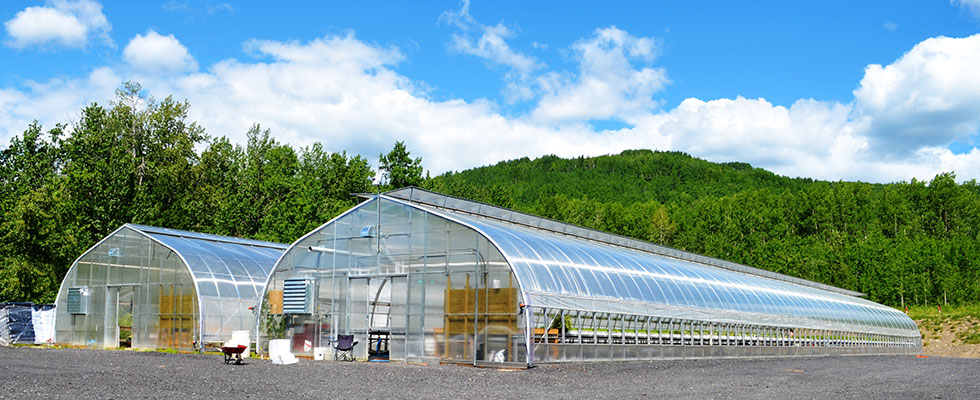 Exterior view of two greenhouse on a sunny day