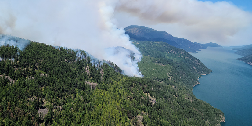 A wildfire on a mountain