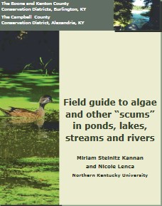 Field guide to algae and other “scums” in ponds, lakes, streams and rivers