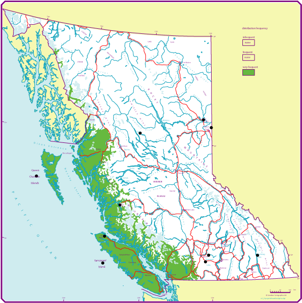 Red alder Province of British Columbia