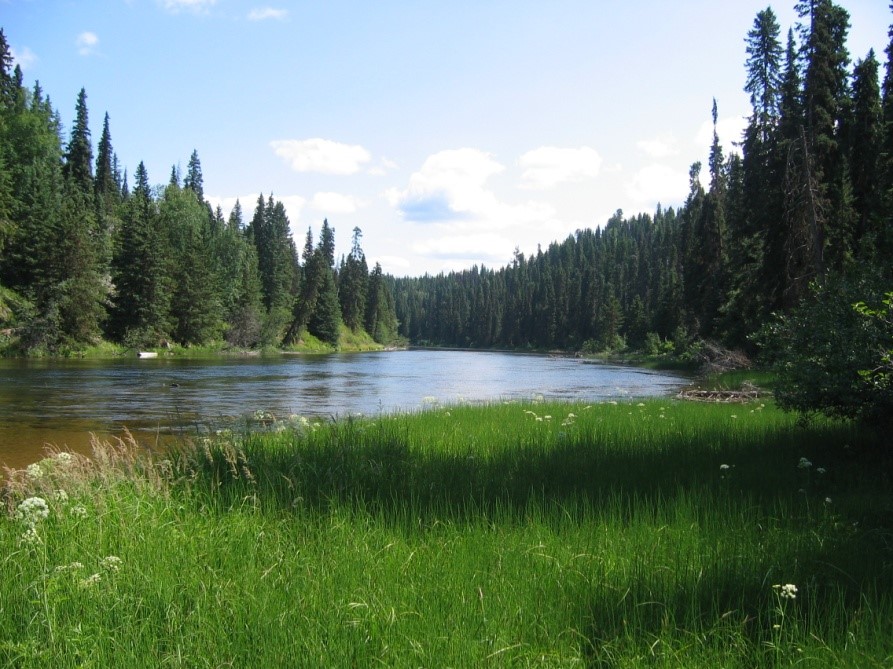 Stellako River Wildlife Management Area Province of British Columbia
