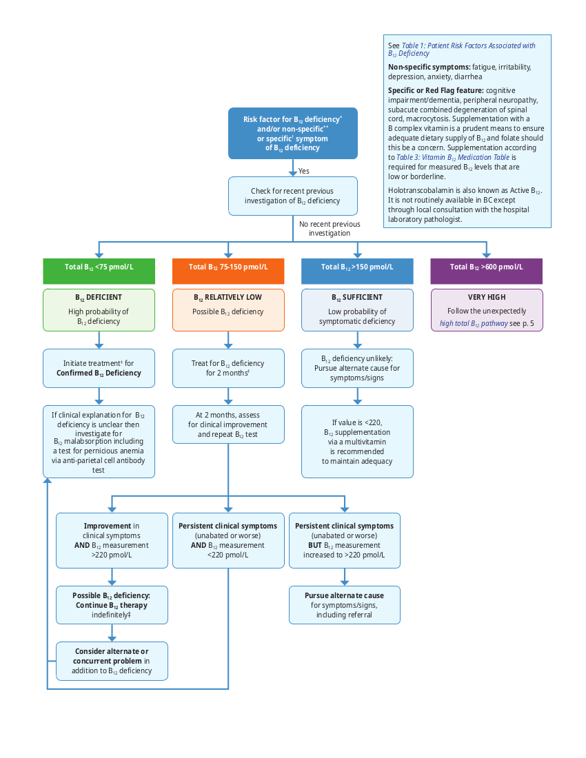 megaloblastic anemia pathway