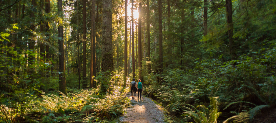 Click this photo of two people walking in a forest to learn about how we are making sure our forests stay healthy. 