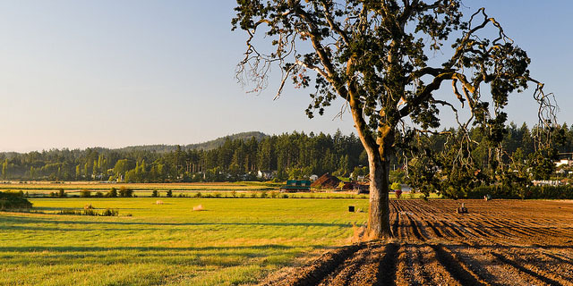BC Farmland
